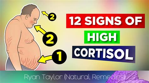 What does a cortisol tummy look like?