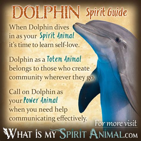What does a dolphin symbolize in personality?
