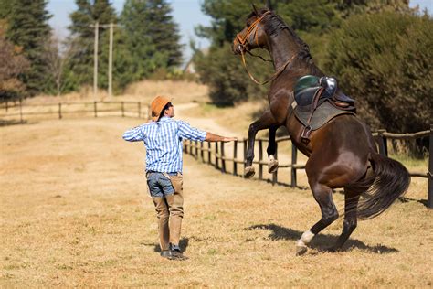 What does a horse do when it's scared?