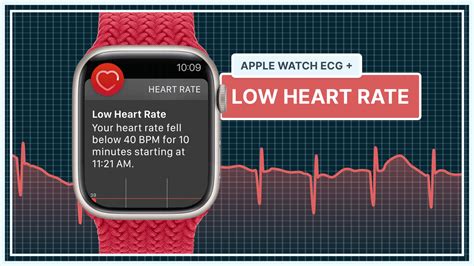 What does a low heart rate indicate?