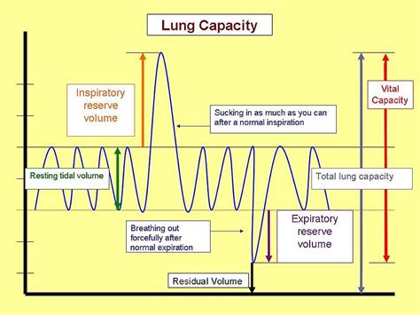 What does a lung capacity of 70% mean?