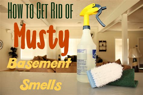What does a musty room smell like?