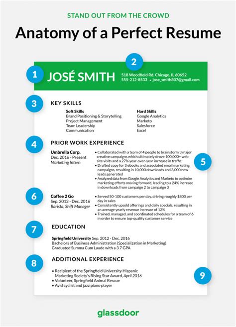 What does a perfect resume look like?