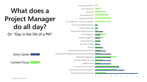What does a project manager do daily?