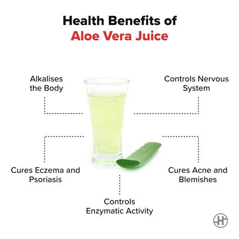 What does aloe vera juice do for reproductive health?