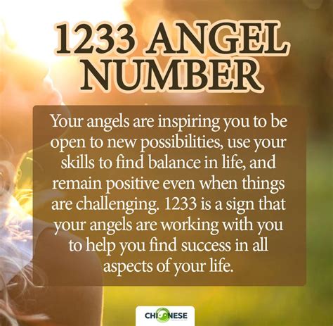 What does angel number 1233 mean spiritually?