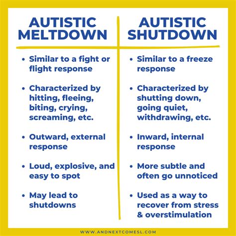 What does autistic shutdown feel like?