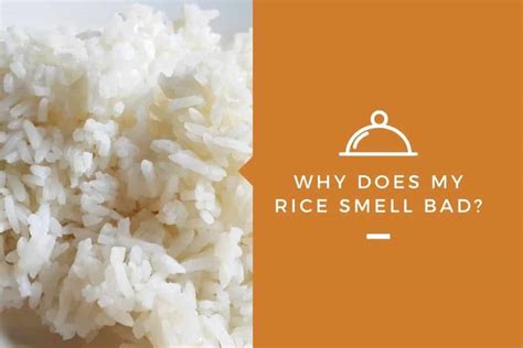 What does bad rice smell like?