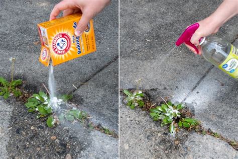 What does baking soda do to concrete?