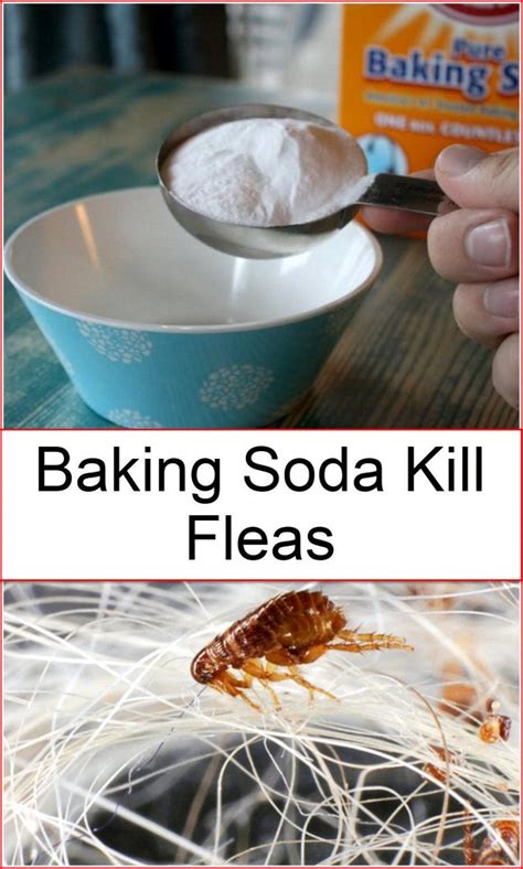 What does baking soda do to fleas?