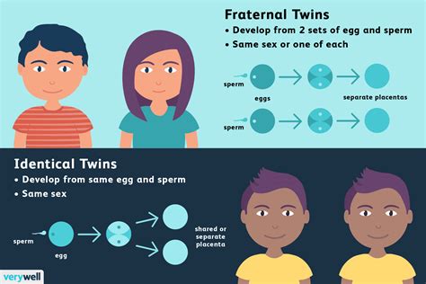 What does being twinned mean?