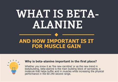 What does beta-alanine do for your muscles?