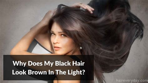 What does black hair look like in the sun?