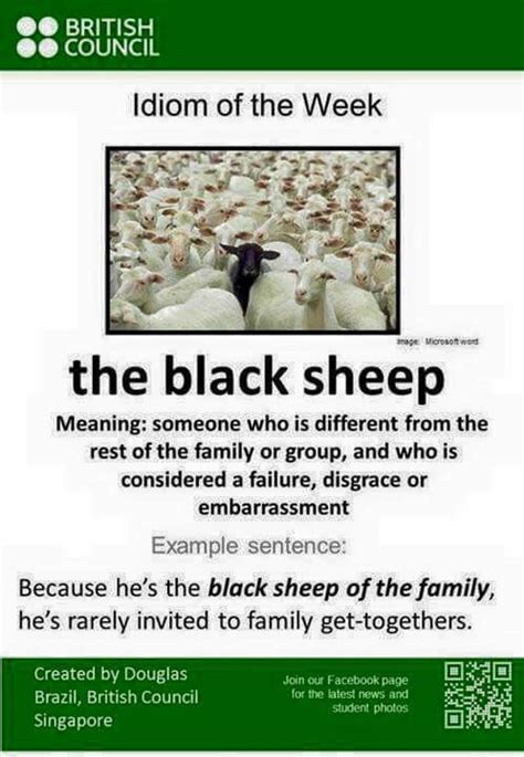 What does black sheep mean in slang?