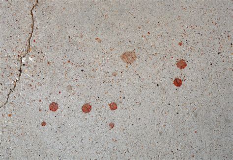 What does blood do to concrete?