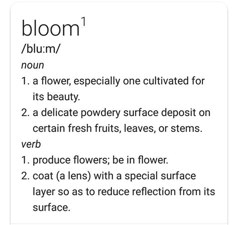 What does bloom mean in life?