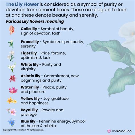 What does bloom symbolize?