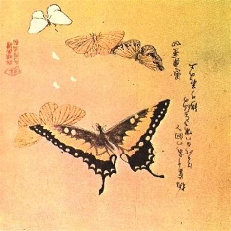 What does butterfly symbolize in Japan?