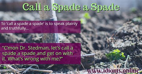 What does call a spade a spade mean in a sentence?