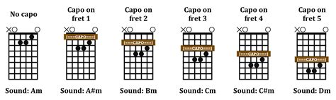 What does capo 4th fret mean?