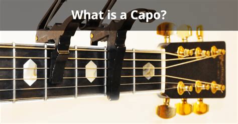 What does capo V mean?