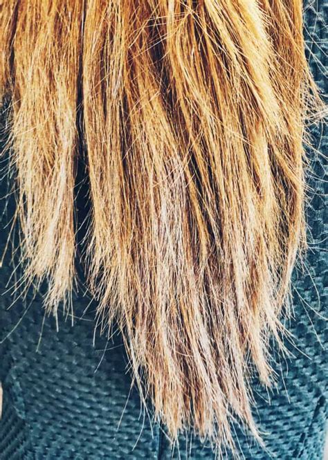 What does chemically damaged hair look like?