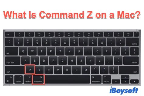 What does command z do on Mac?