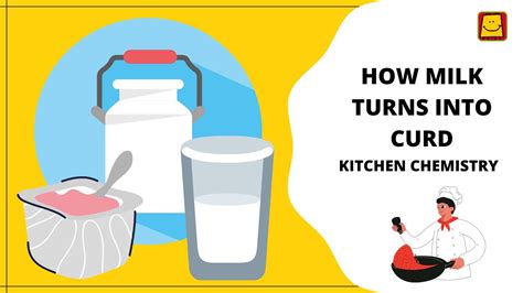 What does curdled milk turn into?