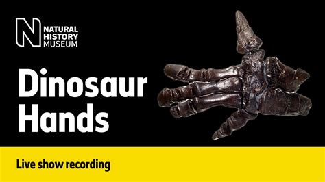 What does dinosaur hands mean?