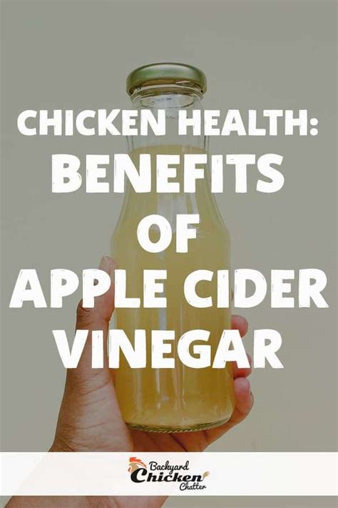 What does distilled vinegar do to chicken?