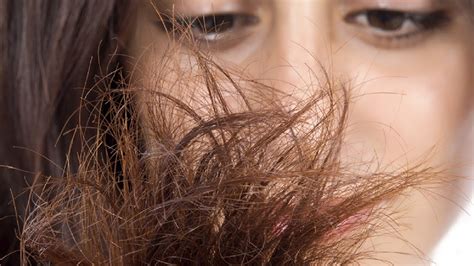 What does dry hair look like?