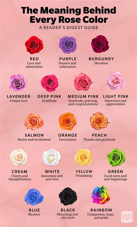 What does each color of rose mean?