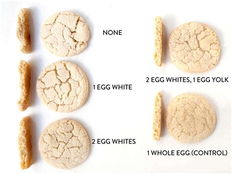 What does egg do in cookies?