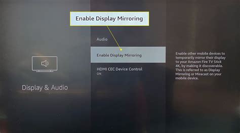 What does enable display mirroring mean?