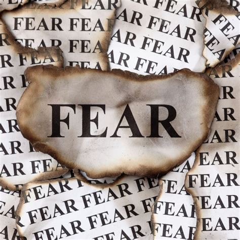 What does facing your fears do to your brain?