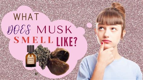 What does female musk smell like?