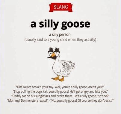 What does goose mean in slang?