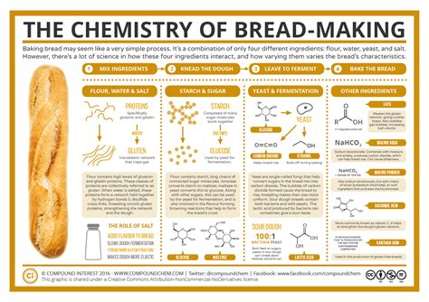 What does honey do in bread?