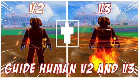 What does human v2 do in Blox Fruits?