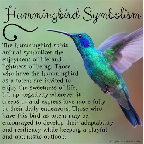 What does hummingbird symbolize?