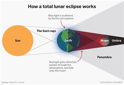 What does in sunshine and in shadow mean?