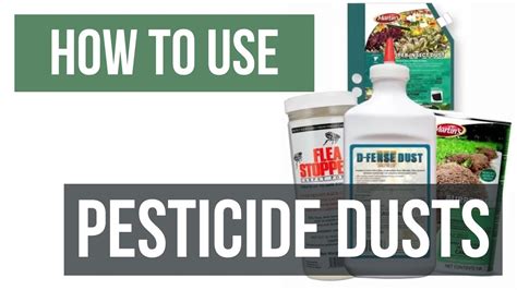 What does insecticide dust do?