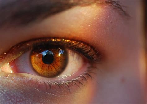 What does it mean if you have golden brown eyes?