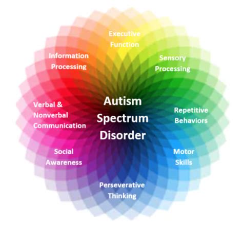 What does it mean to be on the spectrum as an adult?