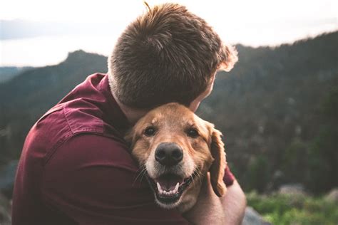 What does it mean when a dog hugs your arm?