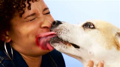 What does it mean when a dog licks their lips when you kiss them?