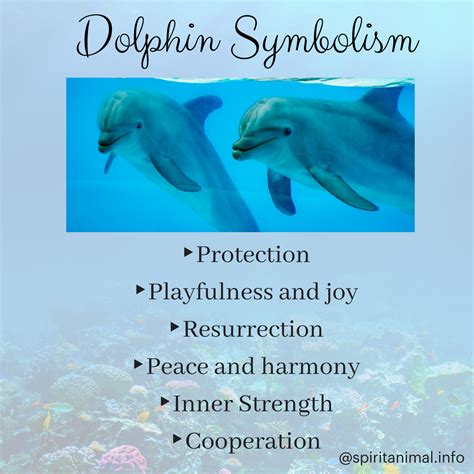 What does it mean when a dolphin approaches you?
