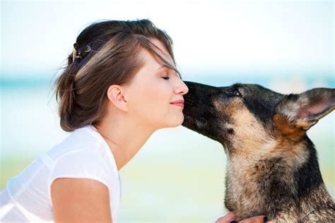 What does it mean when dog licks your face?