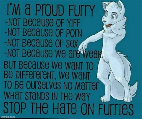 What does it mean when someone says I love furries?