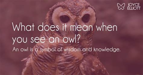 What does it mean when you see owl?